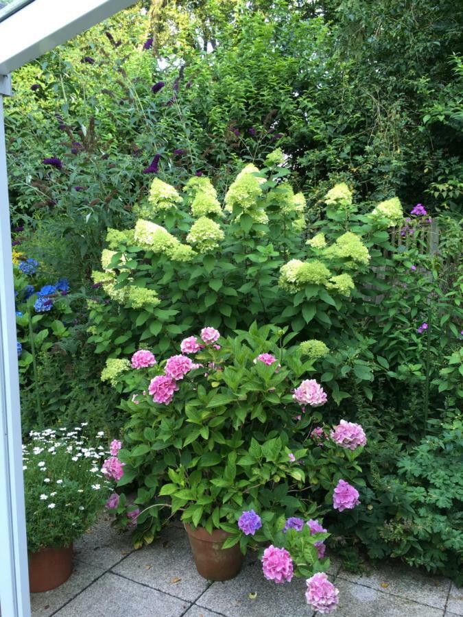 Bed & Breakfast Bigalke Hamburg Bagian luar foto